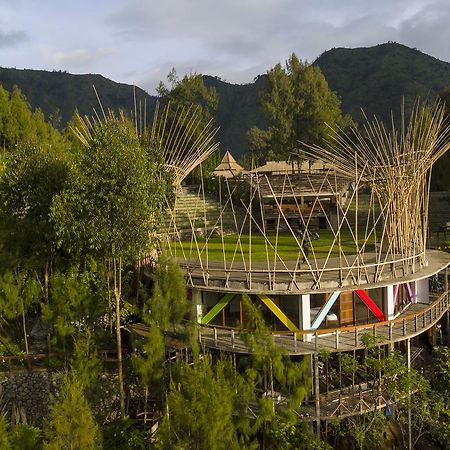 Pagupon Bromo Budget Lodge Ngoại thất bức ảnh