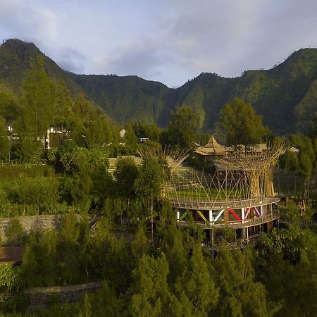 Pagupon Bromo Budget Lodge Ngoại thất bức ảnh